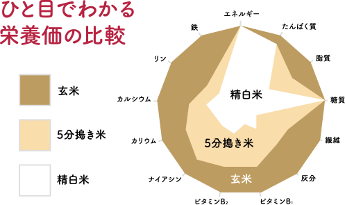 ひと目でわかる栄養価の比較